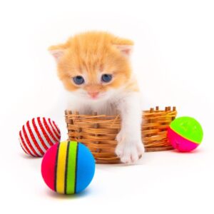 cat toys and treats