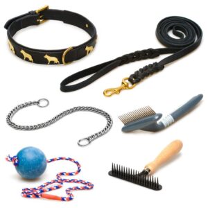 Dog Toys & Accessories