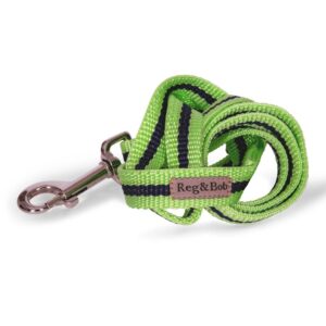 Dog Leads Collars & Harnesses