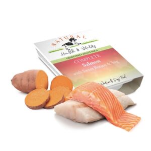 Complete - Salmon (Ocean Fish) & Sweet Potato (x10 Trays) | 60% Fish | Adult Dog Food