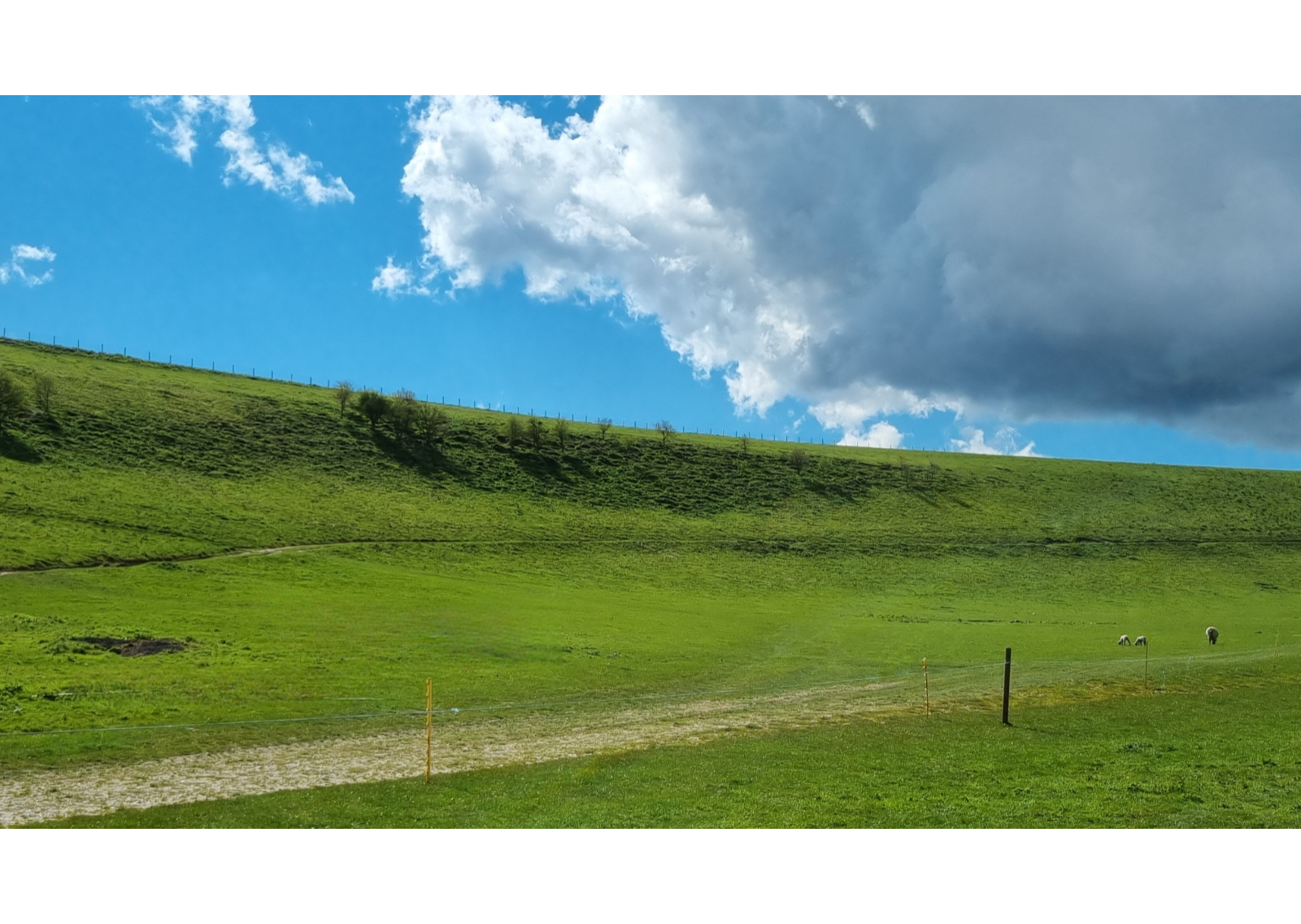 Blue Sky with Cloud and Green Field