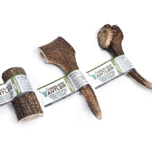 Natural Highland large antlers dog chew
