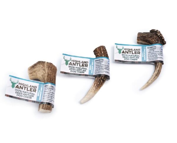 Natural Highland small antler dog chew